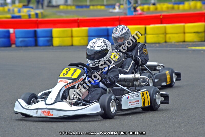 DSC_ (332).jpg